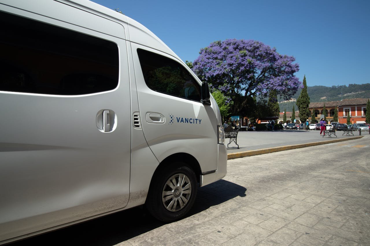 White van parked outdoors on a sunny day near a stunning purple-flowered tree.